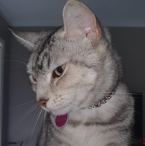 Meet your Posher, Janelle